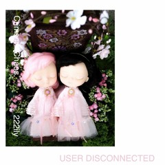 User Disconnected w/ 222ily
