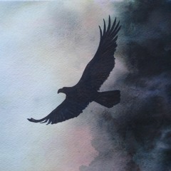 صغيرُ يطلب الكبرَ - ابو عبد الملك