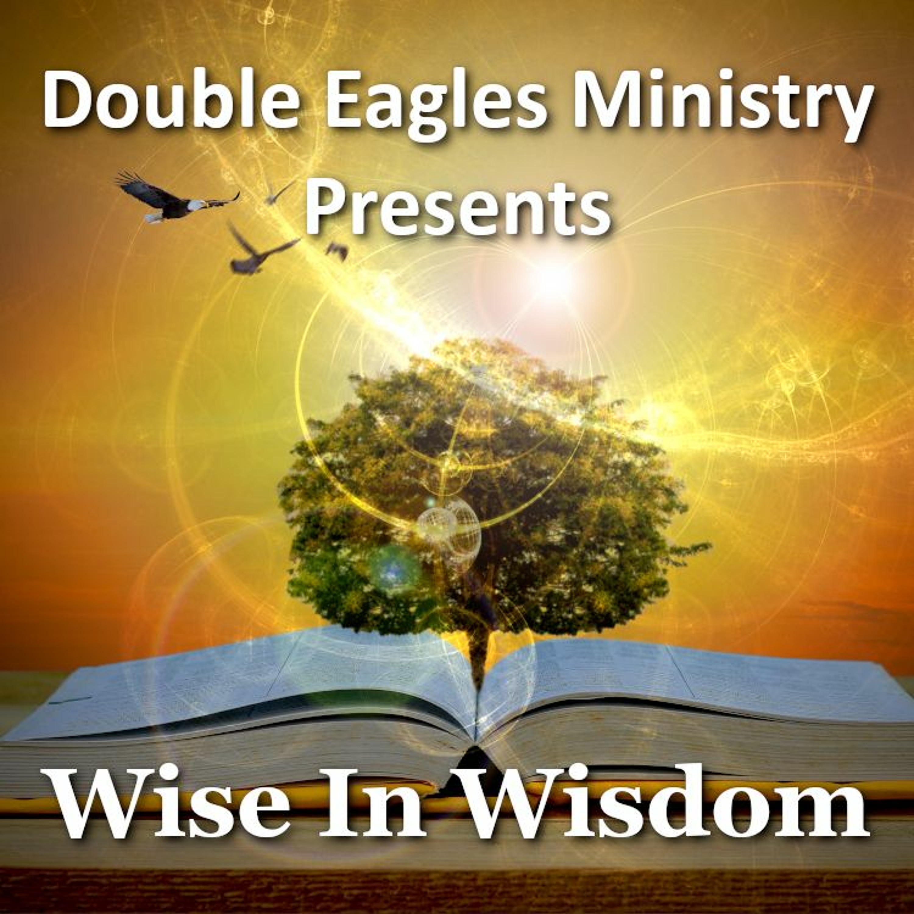 Wise In Wisdom episode artwork