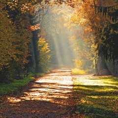 قولوا لعين الشمس - كارمن سليمان "أداء رائع"