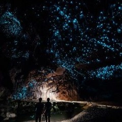 Blookz- Glow Worms (INSTRUMENTAL)