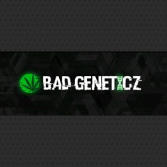 R3v3rsing the bass live on mashup radio vol 6