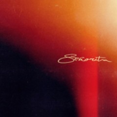 Señorita-Shawn mendes and camila cabello-short voice note