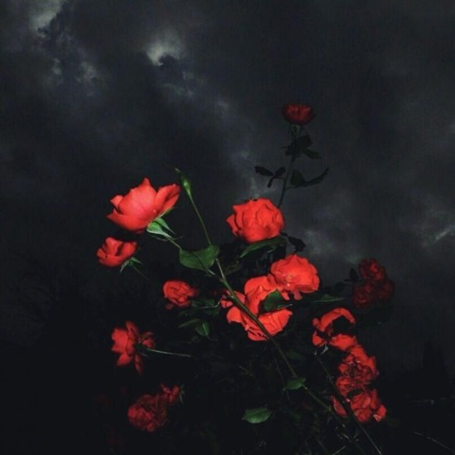 Stream [FREE] Juice Wrld x Iann Dior Type Beat - "Red Roses" - prod by.  aqua by aqua | Listen online for free on SoundCloud