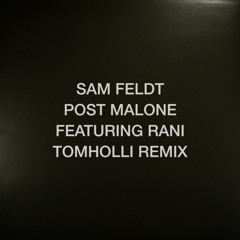 Sam Feldt - Post Malone feat. Rani - Tom Holli Remix