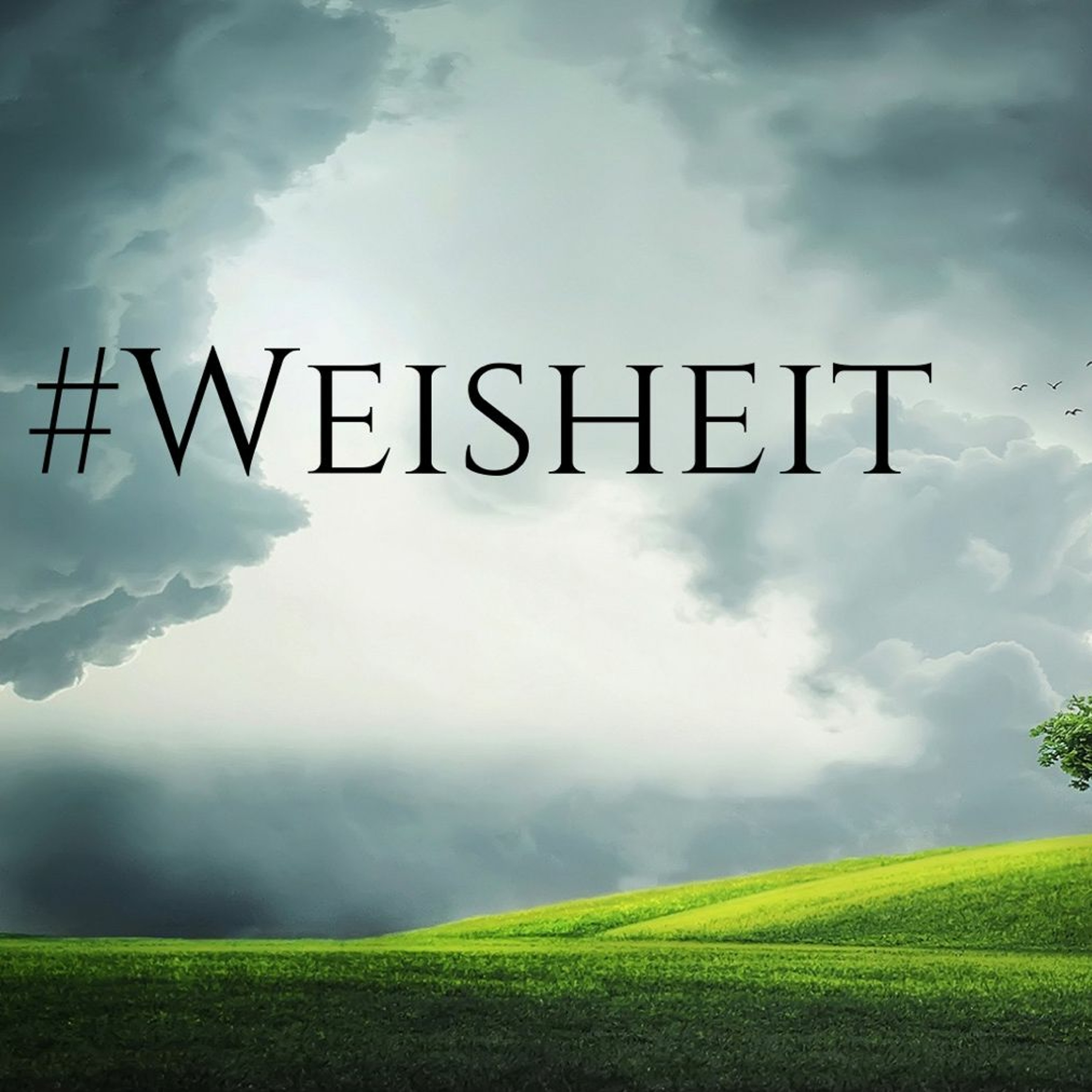 Weisheit in Versuchungen | Wisdom in Trials - Carsten