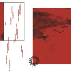 Madrelarva - Marginalia