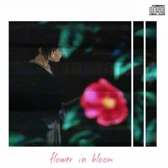 flower in bloom
