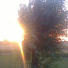 The Sun Sets Somewhere Blues  [original/impro]