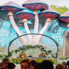 DJAXX - Live at Paradise, TML19