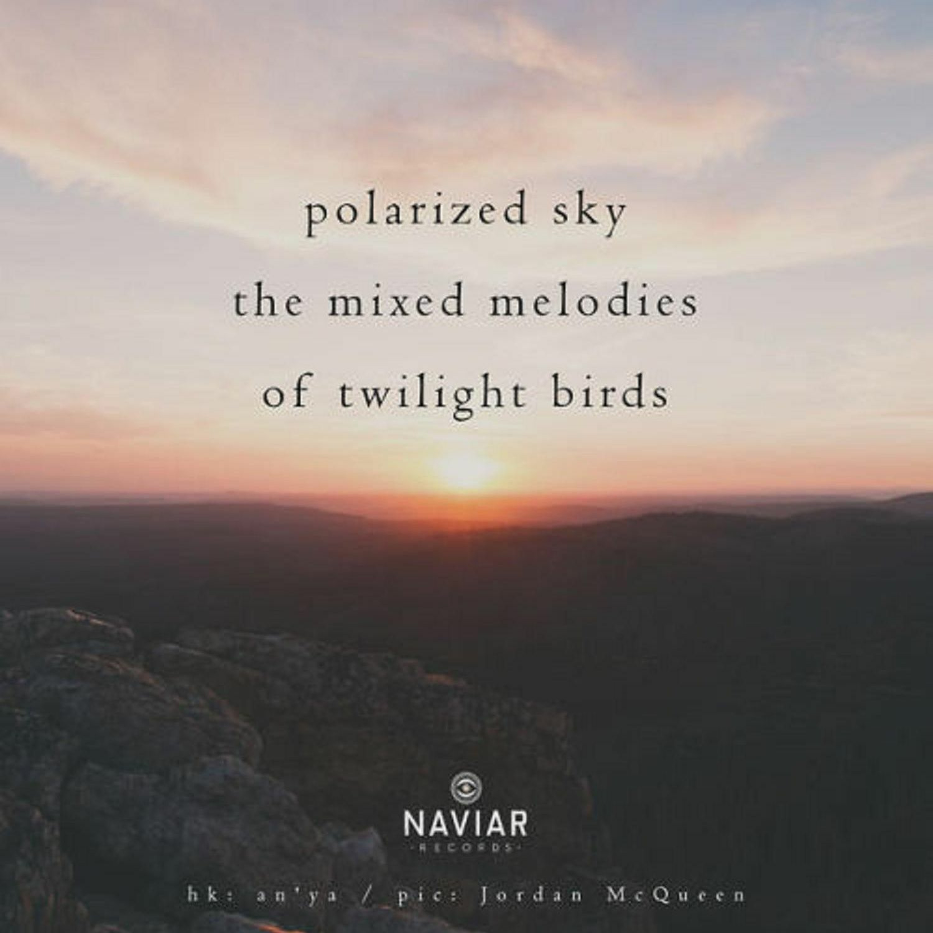 Polarized Sky, The Mixed Melodies Of Twilight Birds (Naviarhaiku 290) episode artwork