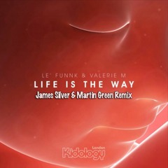 James Silver & Martin Green - Le Funnk Remix (Chic Mix)
