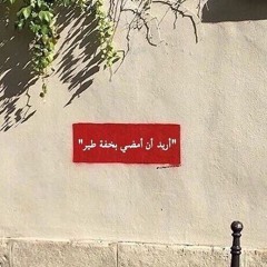 حزن الطيور | Bird's Sadness