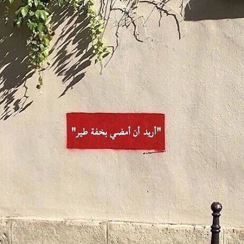 حزن الطيور | Bird's Sadness