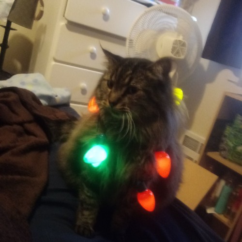 Hug all ur friends V.2