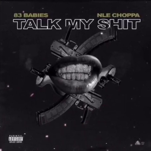83 babies & nle choppa - talk my shit (low quality)