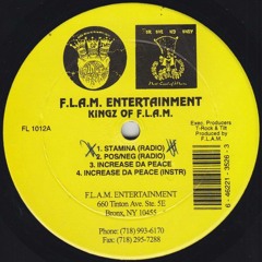 Kingz Of F.L.A.M. - Stamina (Street Version)