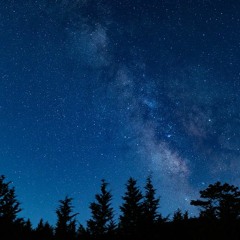 ひそやかな天使の夢憬曲