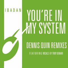 Kerri Chandler, Jerome Sydenham - You're In My System(Dennis Quin Remixes feat. Troy Denari)[Teaser]