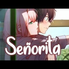 「Nightcore」→ Shawn Mendes, Camila Cabello - Señorita [ Nightcore Another ]