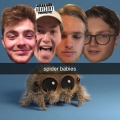 Spider Babies