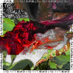 Wellfare - Dream on dream on dream on