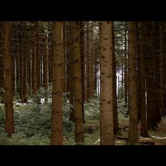 Opening Theme (OST - Le Cimetière des Pigeons)