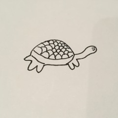 Its A Turtle!