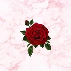 "Rose" - Prod. by ARNOLTO