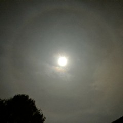 Variations_have_left.wav