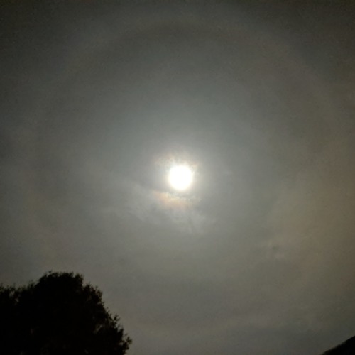 Variations_have_left.wav