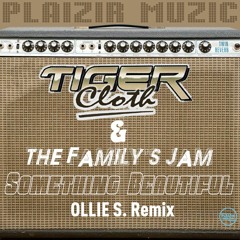 Tiger Cloth & The Family's Jam - Something Beautiful (Ollie S. Remix) (Clip) [Plaizir Muzic]