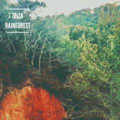 Ibiza Rainforest