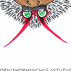 Ornithorhynchus Astutus