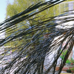 Mad Rider b2b Pawa at Freakadelle Space Night [200719]