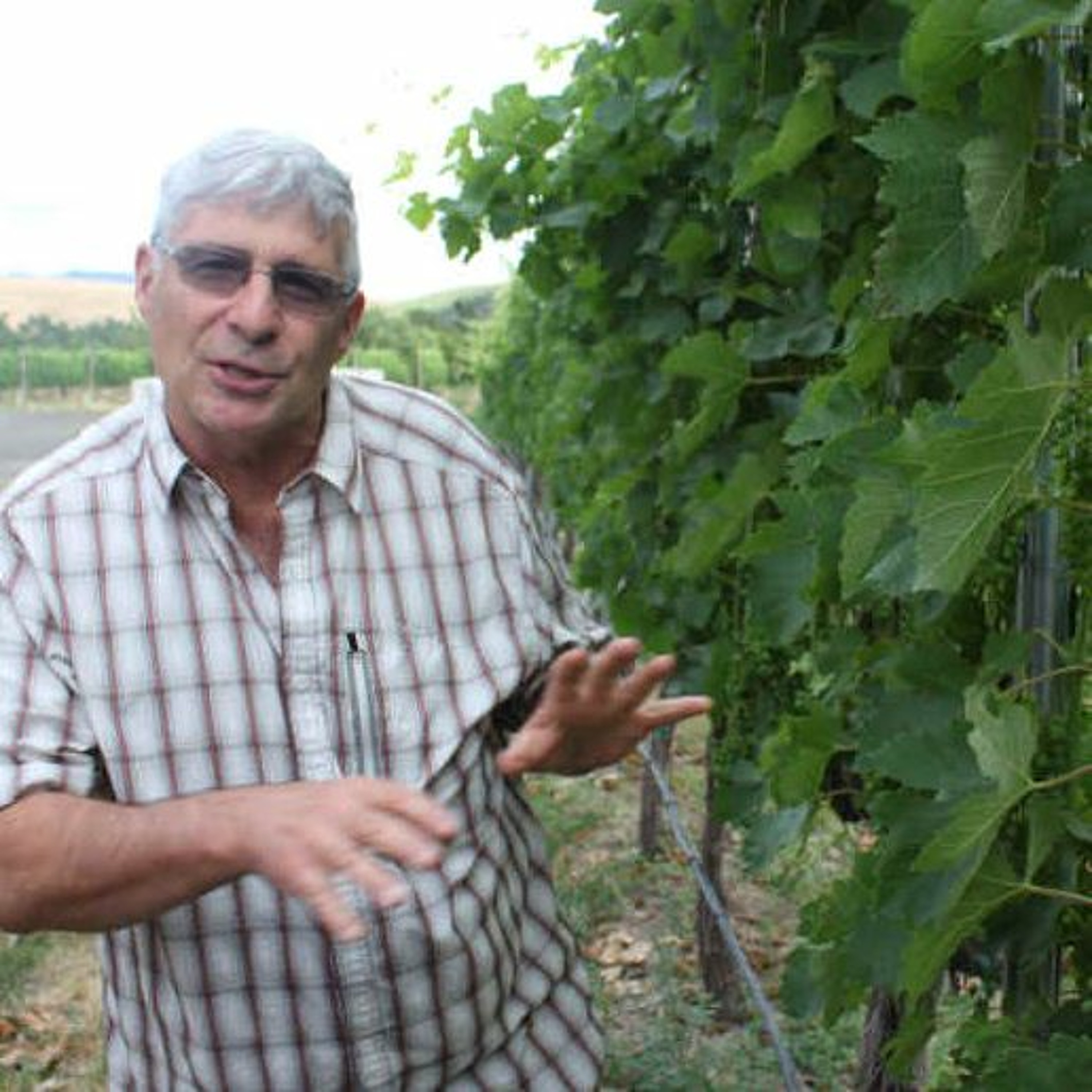 In The Vineyard w Walla Walla Vintner's Gordy Venneri Part 1 of 3 episode artwork
