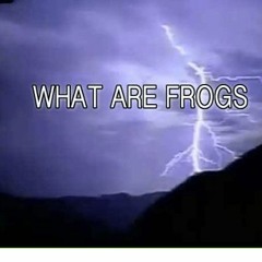 What are Frogs?