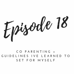 Episode 18 - Co Parenting