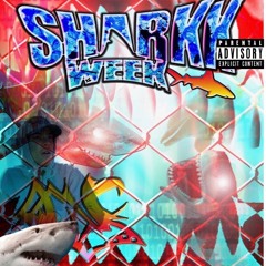 Hammerhead Shark Sharkkboi
