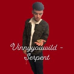 Vinnyyouwild - Serpent (Prod.LCS)