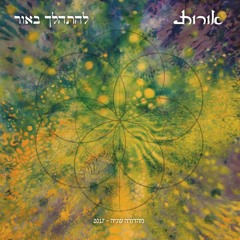 KARLIBACH GROOVE  שובי נפשי - להתהלך באור - אורות