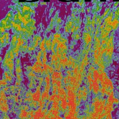 abe null demo 5 (failed window)