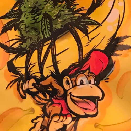 K N O W (PROD. DREEVES)