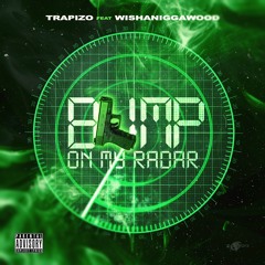 NEW (blip on the radar)trapizo ft wishaniggawood