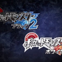 Hoenn Gym Leader B2W2