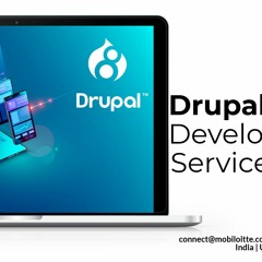 Drupal Website Development Company