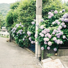 東京 / きのこ帝国  cover short ver.  Tokyo/ Kinoko teikoku