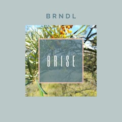 BRNDL - BRISE