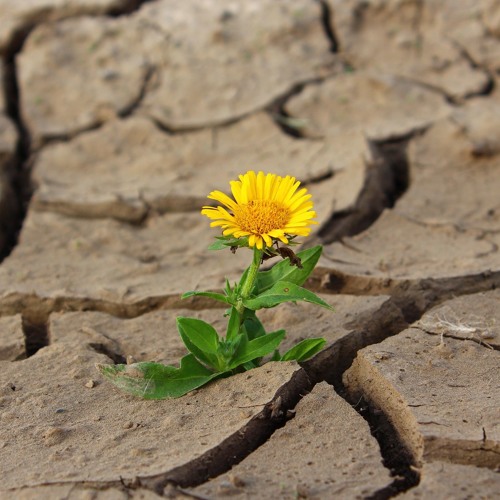 Clearing the resistance to change