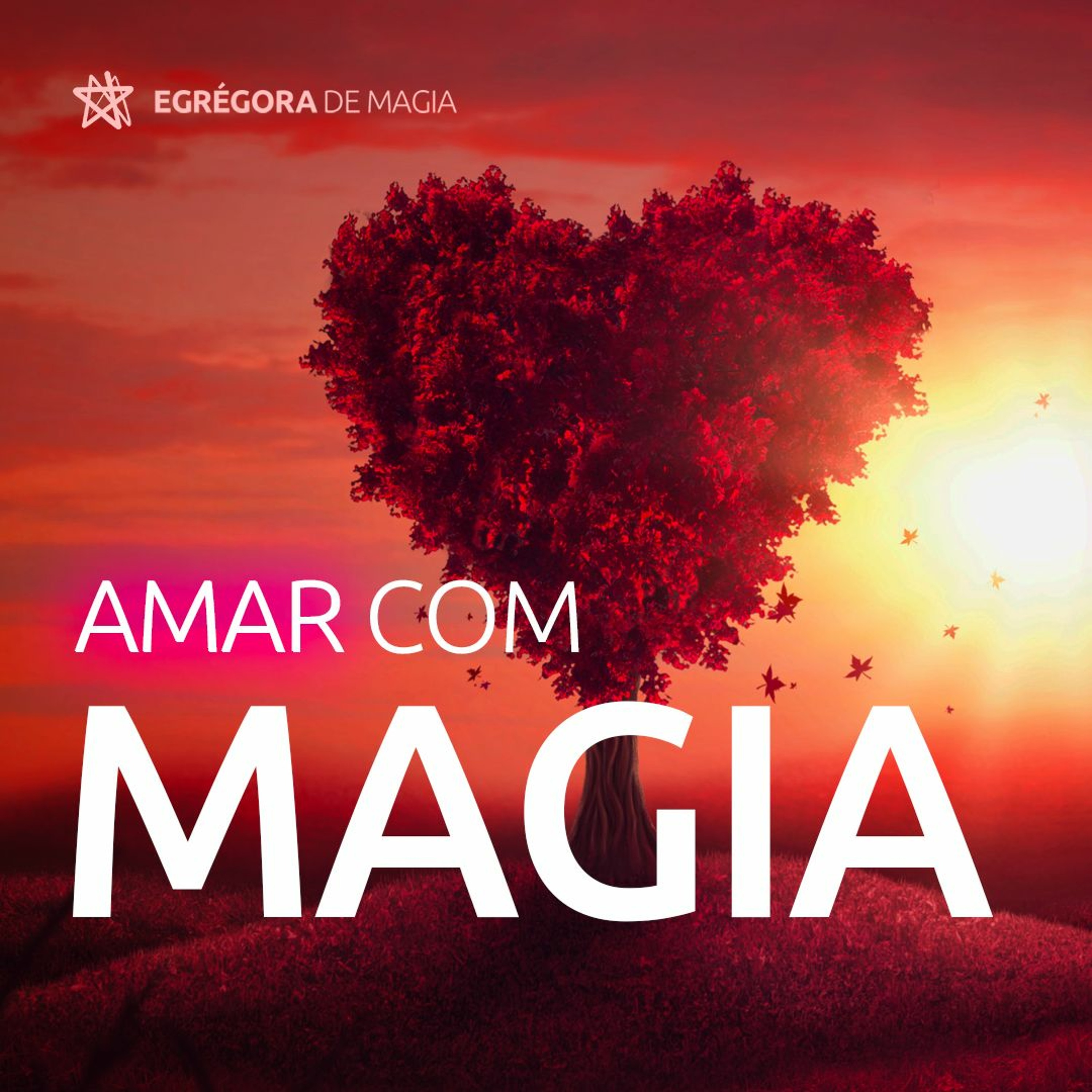 Escola De Magia